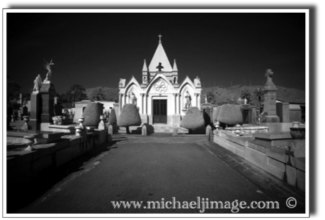 _MG_0008 webcopy 2 copy